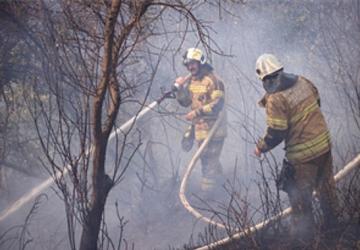 İZPA İzmir'in orman yangını risk haritasını oluşturdu