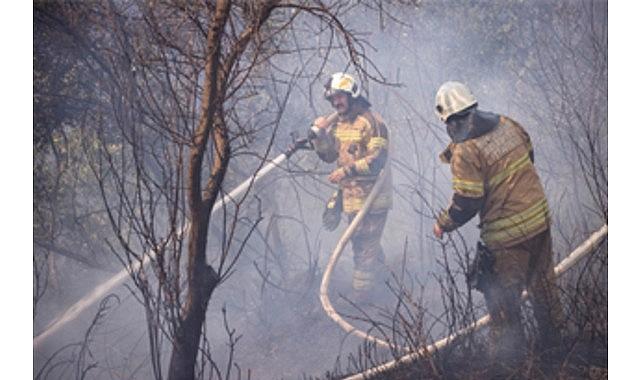 İZPA İzmir'in orman yangını risk haritasını oluşturdu