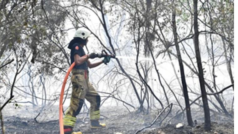 İzmir İtfaiyesi Menderes'te alevlerle mücadele ediyor