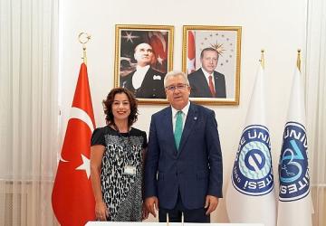 Eksozom Destekli Göz Yüzeyi Kök Hücre Kültürü