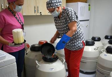 Türkiye'nin ilk Tüp Bebek Merkezinde anne baba olma hayaline bilimsel dokunuş