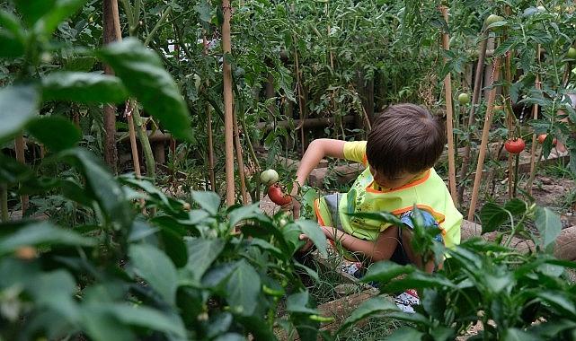 Lokomotif Çocuk Köyü'nde hasat sevinci