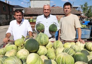 Bursa Nilüfer’de Konaklı Kavunu Üretiminde İki Kat Artış