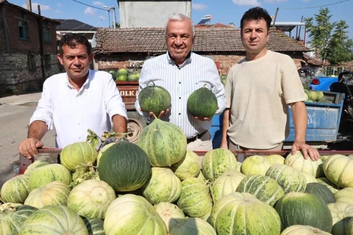 Bursa Nilüfer’de Konaklı Kavunu Üretiminde İki Kat Artış Bursa Nilüfer’de Konaklı Kavunu Üretiminde İki Kat Artış