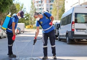 Buca'da ilaçlama atağı