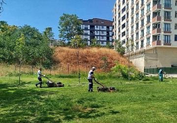 Gebze Tatlıkuyu Vadisi Kent Parkı'na düzenli bakım