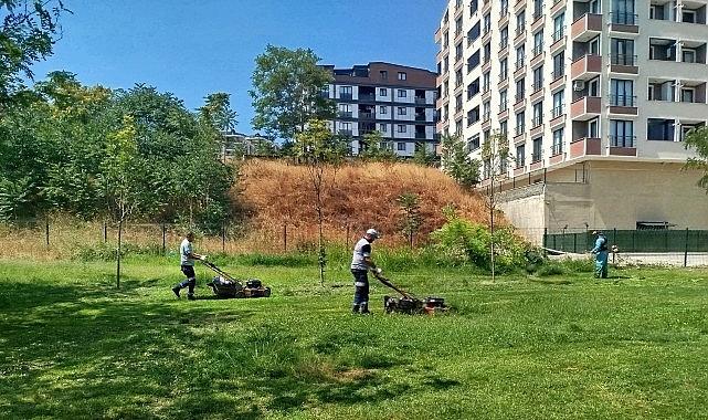 Gebze Tatlıkuyu Vadisi Kent Parkı'na düzenli bakım