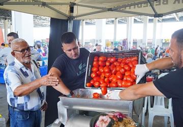 Ayvalık'ta Salça Zamanı Başladı