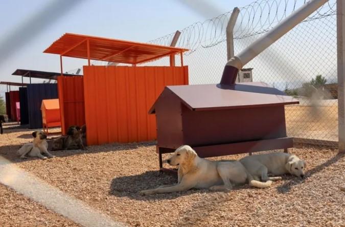 Doğal Sit Alanlarında Hayvan Bakımevleri İçin Yeni Düzenleme