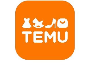 Temu'nun Büyük Hacimli Teslimatları Türkiye'de Horoz Lojistik'e Emanet