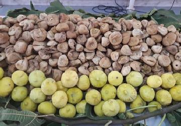 Kuru incirin ihracat yolculuğu 15 Ekim'de başlayacak