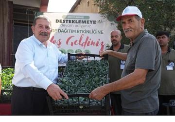 Yüzde 50 Hibeli Kışlık Sebze Fidesi Desteği Üreticilerle Buluştu
