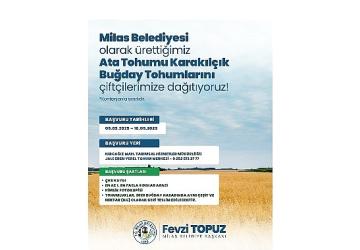 Milas Belediyesi'nden Üreticilere Karakılçık Buğday Tohumu Desteği
