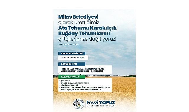 Milas Belediyesi'nden Üreticilere Karakılçık Buğday Tohumu Desteği