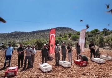 Mardin’de Keklikler Doğayla Buluştu