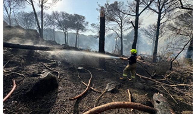İzmir İtfaiyesi Bergama'da alevlerle mücadele ediyor
