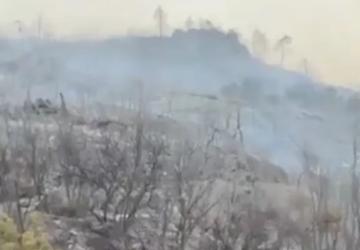 Bursa Büyükşehir Yangınlarda Son Durumu Duyurdu