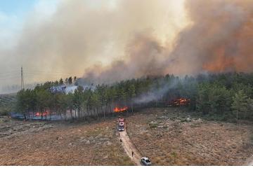 Antalya'da 4 farklı noktada orman yangını çıktı