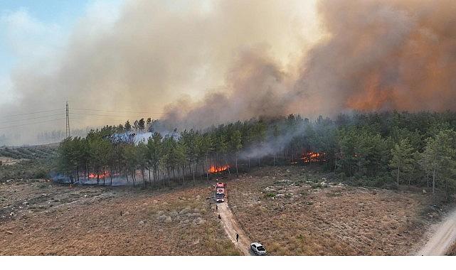 Antalya'da 4 farklı noktada orman yangını çıktı