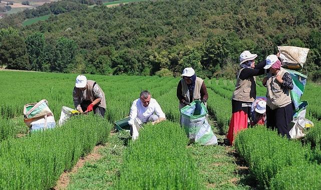 Büyükşehir destekliyor, üretim artıyor