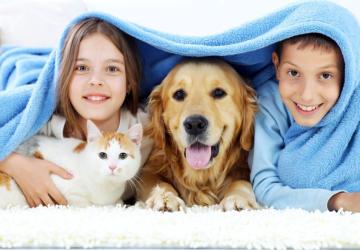 ‘Kedi ve Köpek Tüyü Hastalık Yapar mı?’: Veteriner Hekim Mustafa Yıldız yanıtladı