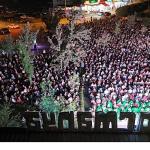 Ormanya gece sineması 5 bin katılımcıyla rekor kırdı