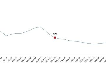 Yurt İçi Üretici Fiyat Endeksi, Ağustos 2025