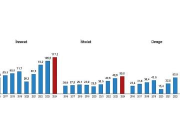 Uluslararası Hizmet Ticareti İstatistikleri, 2024