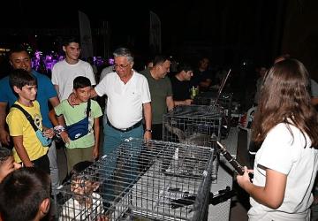 Kemer'de sokak hayvanları yararına ikinci konser