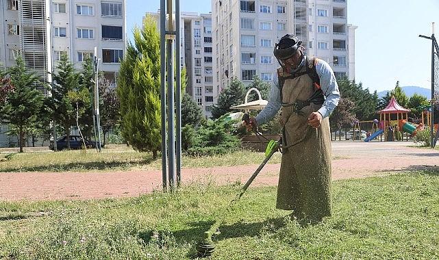 Canik'te Parklar Bakımlı ve Tertemiz