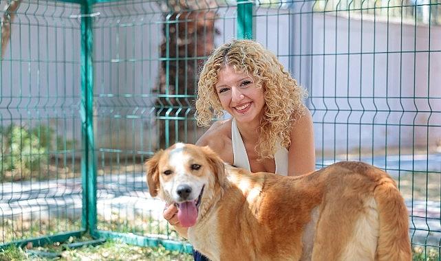 Konak'ın patili dostları ömürlük yuvalarını bekliyor Konak'ın patili dostları ömürlük yuvalarını bekliyor
