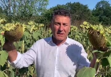 CHP’li Çakır’dan Trakya Birlik’e Ayçiçeği Fiyatına Tepki
