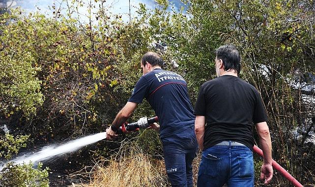 Kemer'de orman yangını