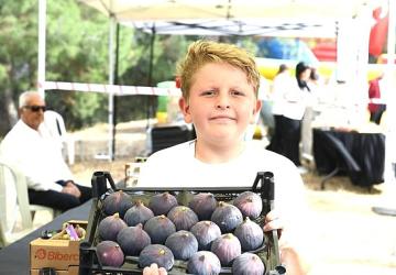 Osmangazi Belediyesi'nden dünyaca ünlü siyah incire festival