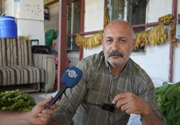 Adıyamanlı tütün üreticileri mağdur: ‘Hem alım gücümüz düştü hem de tütünümüze göz koyuyorlar’ - Videolu Haber