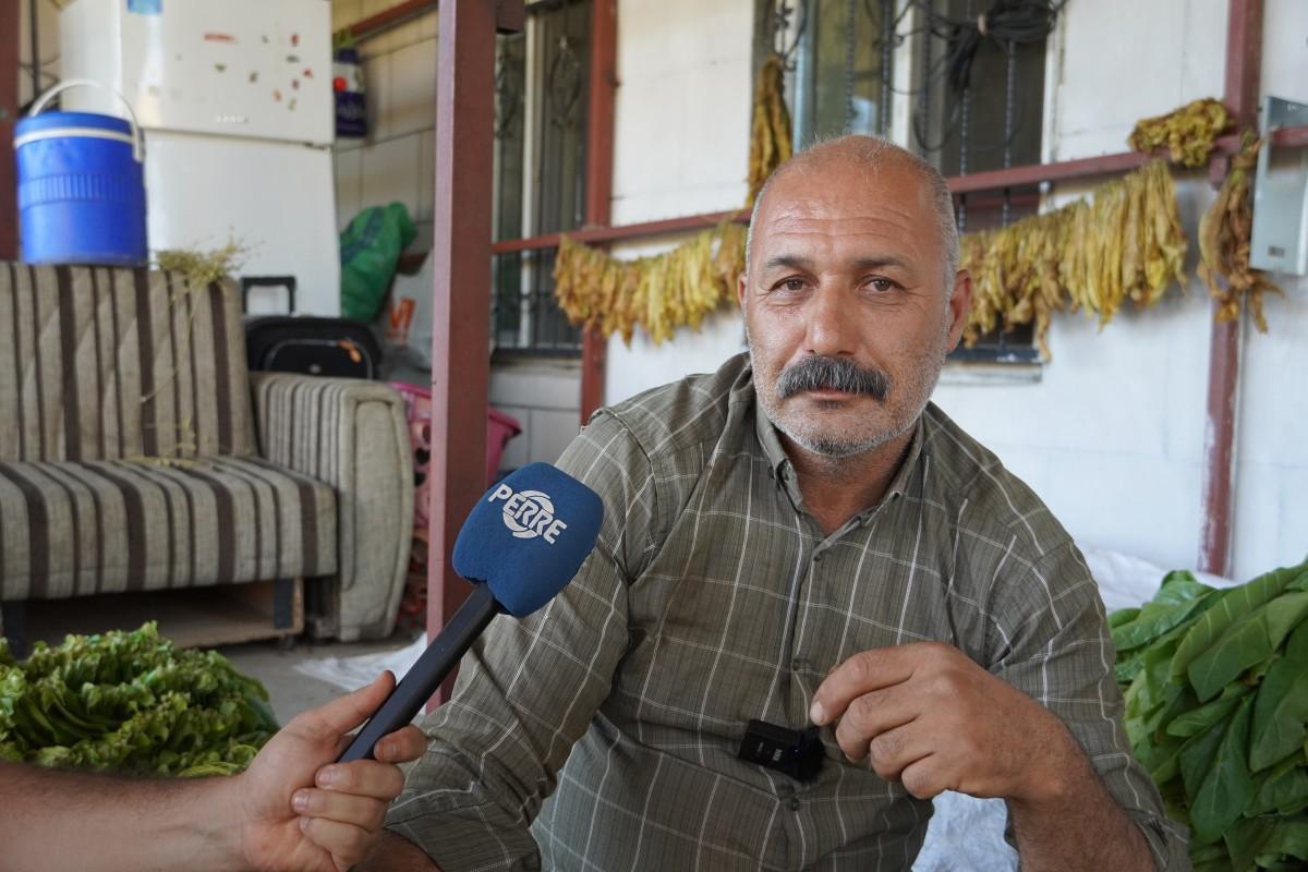 Adıyamanlı tütün üreticileri mağdur: ‘Hem alım gücümüz düştü hem de tütünümüze göz koyuyorlar’ - Videolu Haber Adıyamanlı tütün üreticileri mağdur: ‘Hem alım gücümüz düştü hem de tütünümüze göz koyuyorlar’ - Videolu Haber
