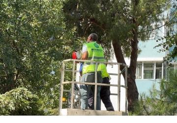 Bakırköy Belediyesi Ekipleri Kurtardı