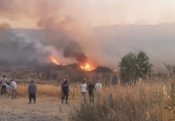 Adıyaman’da Anız Yangını Bahçelere Sıçradı: Havadan ve Karadan Müdahale Edildi - Videolu Haber