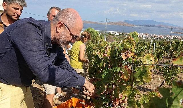 6–7 Eylül'de Bir Başkadır Avşa Etkinliği'nin Programı Açıklandı