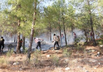 Besni ve Tut’ta geniş çaplı yangın: 200 hektar alan kül oldu, fıstık ve incir bahçeleri zarar gördü