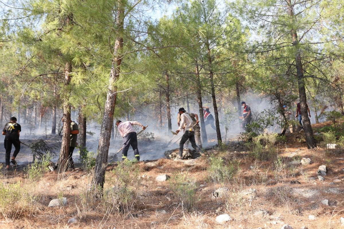 Besni ve Tut’ta geniş çaplı yangın: 200 hektar alan kül oldu, fıstık ve incir bahçeleri zarar gördü Besni ve Tut’ta geniş çaplı yangın: 200 hektar alan kül oldu, fıstık ve incir bahçeleri zarar gördü