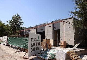 Çankaya, Çınarların Yeni Buluşma Noktası Olacak