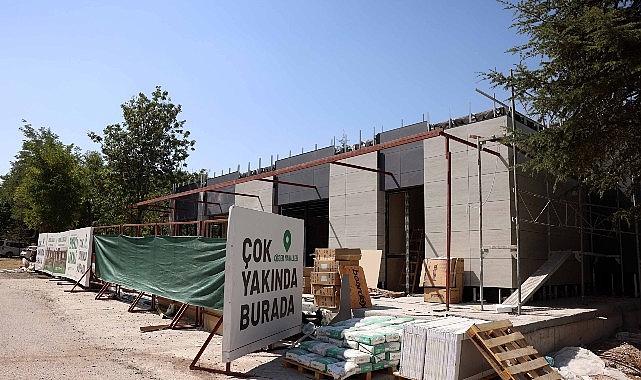 Çankaya, Çınarların Yeni Buluşma Noktası Olacak