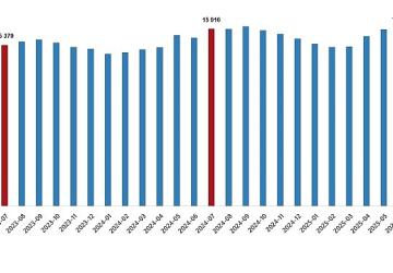 Ücretli Çalışan İstatistikleri, Temmuz 2025