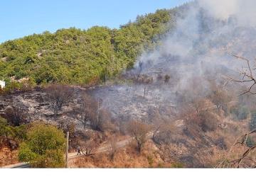 Başkan Vekili Özdemir yangın bölgesinde