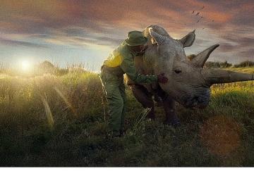 'Son Gergedanlar: Yeni Bir Umut', 21 Eylül Pazar 20.00'de National Geographic Ekranlarında!