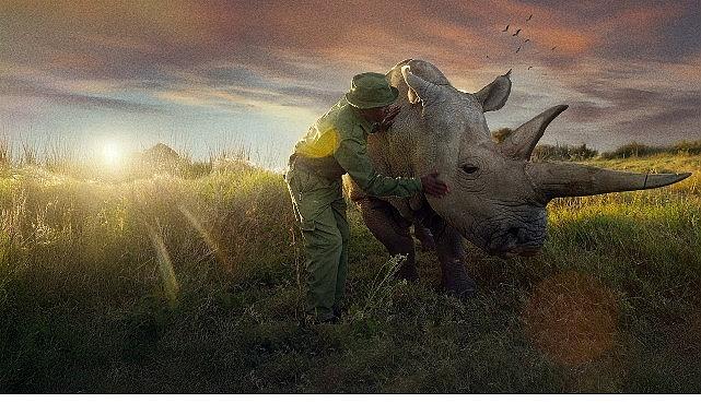 'Son Gergedanlar: Yeni Bir Umut', 21 Eylül Pazar 20.00'de National Geographic Ekranlarında!