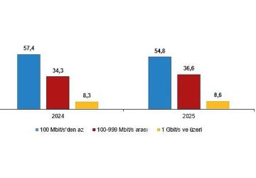 Girişimlerde Bilişim Teknolojileri Kullanım Araştırması, 2025