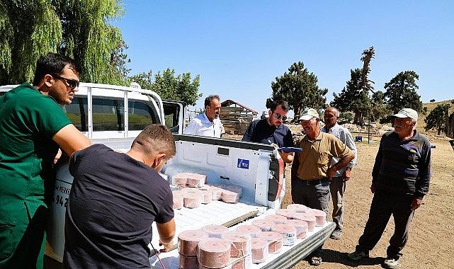 Büyükşehir Konyaaltı'nın “Çoban Haritasını" çıkarıyor