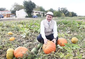 Osmangazi Belediyesi ata tohumlarını geleceğe taşıyor